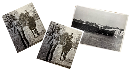 a collage of old images related to The Tack Room